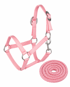 Custom Logo Equestrian Headstall Comfortable Horse Nylon <b>Halter</b> with High Waist for Horse Racing Wholesale Rate Cheap Price - Product Image 2