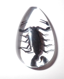 Black Scorpion Real Specimen Plastic Cabochon Pear Cut <b>Top</b> 46x30 mm Clear Flat Bottom for Crafts and Jewelry Making - Product Image 6