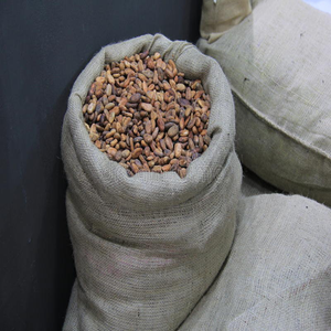 Saco para Granos de Café de Fibra Natural con Diseño Transpirable y Ecológico - Product Image 4