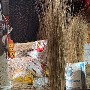 Venta al por mayor de palos de escoba de coco VIGI FARM de Vietnam, 24 meses de vida útil, limpios y secos, listos para la producción - Product Image 5