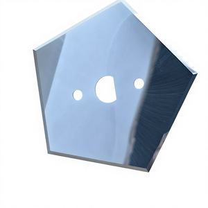 Cuchilla Pentagonal de Carburo de Tungsteno Industrial RADHIKA ENTERPRISE de 40x63mm para Máquina de Fabricación de Bolsas de Cemento - Product Image 1