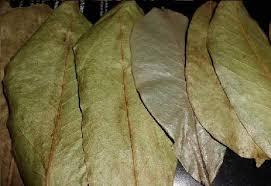 ใบทุเรียนเทศแห้งผลิตภัณฑ์สมุนไพรธรรมชาติ/ms.katty - Product Image 6