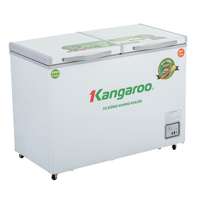 Congélateur mobile électrique à double porte pour usage domestique et hôtelier Capacité de 90L/140L/286L/375L Fabriqué au Vietnam - Product Image 1