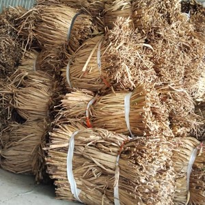 Corde en jacinthe d'eau séchée du Vietnam, fibre végétale naturelle Kochuripana pour la fabrication de paniers, tapis, sacs et artisanat de décoration intérieure faits à la main - Product Image 4