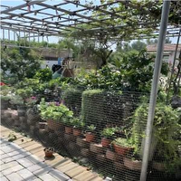 Grillage robuste pour cages à volailles, enclos à lapins et protection agricole