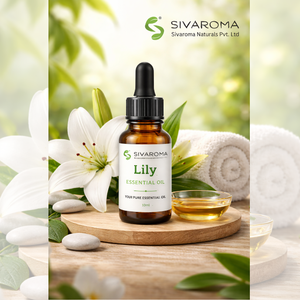 Aceite Esencial de Lirio Natural para Formulaciones de Cuidado de la Piel, Productos para el Cuidado del Cabello y Suministro a Granel Confiable para Fabricantes y Exportadores - Product Image 6