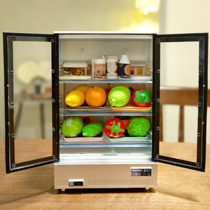 Nouvel Arrivage : Mini-réfrigérateur jouet avec 21 accessoires, lumières et sons, modèle 1:12, pour maison de poupée - Product Image 5