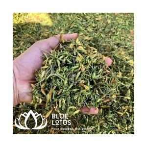 BEST SELLER Thé de fleurs de papaye séchées de qualité supérieure, boisson à base de plantes durable, vente en gros - Product Image 1