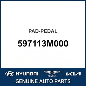 Nuevas Piezas y Accesorios para Autos y Camiones 597113M000 - Product Image 1