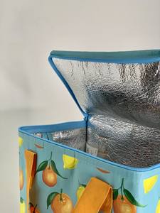 Bolsa de almuerzo de alta calidad para mujer, laminada, con capacidad de 15L/20L, fabricada en Vietnam para entrega en restaurantes, fábrica de Vietnam. - Product Image 3