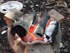 Professional Vietnam Khaya Charcoal Supplier | Premium Hardwood Lump Charcoal - Product Image 3