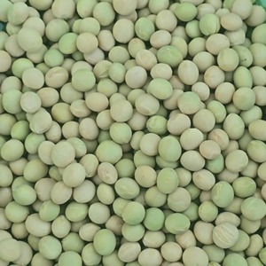 Carga de Soja Común Seca de Calidad Verificada con Clasificación Natural, Empacada para Importadores, Suministro Internacional de Exportación - Product Image 5