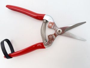 Tijeras de Podar de Jardín de Acero Inoxidable de Grado Industrial con Hojas Serradas, Mango Negro y Azul de 190 mm, Multiusos para el Cuidado de Plantas y Flores - Product Image 6