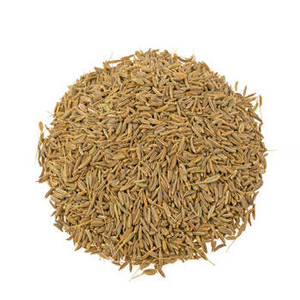 Graines de Jeera entières fraîches de saison en provenance d'Inde pour le commerce en gros d'épices, la fourniture d'ingrédients alimentaires et les acheteurs professionnels internationaux - Product Image 2