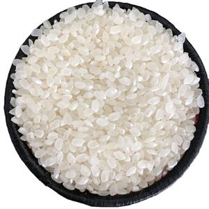 Arroz Calrose, Grano Redondo, Grano Corto, Arroz Japonés Blanco / Arroz para Sushi CAMOLINO - Textura Dura, 3.0% de Grano Partido, Vietnam/ ANNA DO - Product Image 1