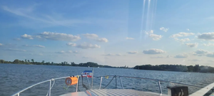 เรกัล อัมบาซัดอร์ 233x-x-l - Product Image 5