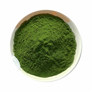 Polvo de Hoja de Ortiga 100% Puro y Natural con Nutrientes Vegetales, Polvo Premium de Urtica Dioica para Mezclas de Té de Hierbas - Product Image 2