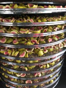 Goyave séchée douce | 100% fruits biologiques frais | Collation saine et ingrédient de thé du Vietnam - Product Image 4