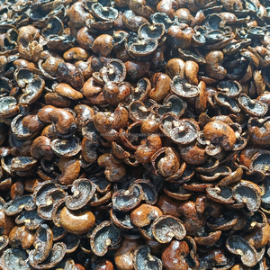 COQUILLE DE NOIX DE CAJOU BRUTE AU MEILLEUR PRIX-BIOCARBURANT NATUREL ET MATIÈRE PREMIÈRE INDUSTRIELLE DU VIETNAM - Product Image 2