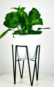 Support de plantes en métal pour intérieur et extérieur, étagère porte-pot de fleurs robuste pour plantes en pot - Product Image 5