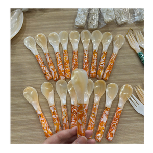 Eco Friendly Mother of Pearl Shell Spoon Handmade Seashell Spoon for Sustainable Tableware Wholesale - Product Image 4