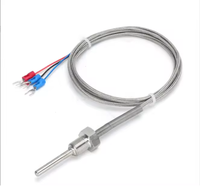 Sensor de Temperatura PT100 RTD Personalizable con Cable de 3 Hilos, Sonda Flexible para Uso Industrial y Doméstico, USB, OEM, ODM para Petróleo