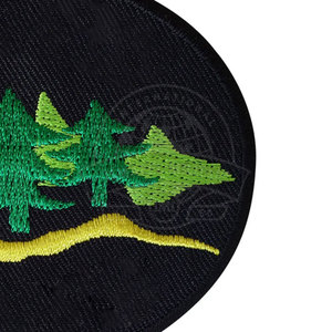 Badges brodés à la machine, qualité supérieure, écussons personnalisés pour uniformes, vêtements, clubs sportifs, en vente en ligne - Product Image 5