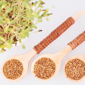 Semillas de Alfalfa Puras para Forraje, Textura Suave, Alto Contenido de Humedad y Proteínas, 12 Meses de Vida Útil, Heno para Alimentación de Ganado, Kohenoor - Product Image 3