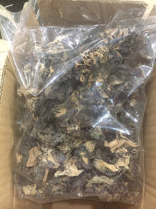 Champignon noir de forme entière séchée de l'usine du VIETNAM - Product Image 6