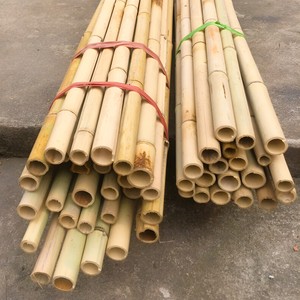 Natural Bamboo <b>Pole</b> Made in Vietnam Bamboo <b>Poles</b> Plant Raw Material <b>for</b> <b>Gardening</b> and Farming - Product Image 1