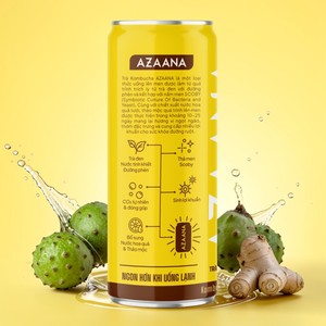 Bebida de té de jengibre Dracontomelon a granel, estilo kombucha, OEM, marca privada, logotipo personalizado, venta al por mayor - Product Image 6