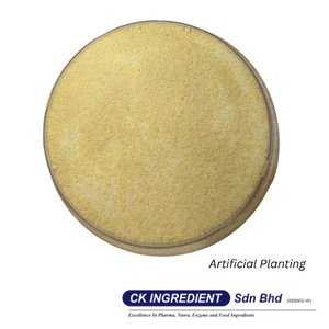 Garantía de Proveedor Excelente, Polvo de Jugo de Frutas Tropicales, Calidad Premium, Halal, OEM, B2B, Ingrediente para Bebidas con Sabor a Frutas Mixtas - Product Image 6