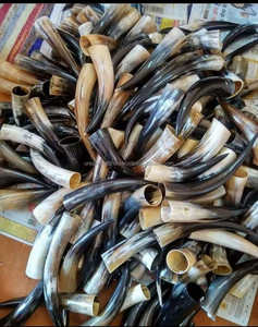 Cuerno vikingo ecológico hecho a mano auténtico soporte decorativo natural para amantes de la hidromiel y la cerveza estilo Animal pulido - Product Image 5