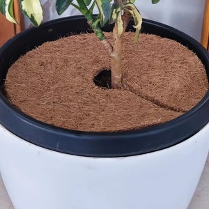 Macetas Ecológicas de Coco |   Macetas de Fibra de Coco Natural para Jardín, Flores y Plantas - Product Image 1
