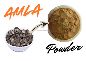 Poudre d'Amla séchée naturelle à 100% sans pépins |   Poudre de Groseille à maquereau indienne |   Fournisseur en gros de poudre d'Amla de qualité alimentaire à base de plantes - Product Image 3