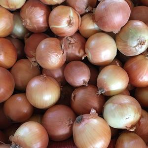 Granulés d'oignon blanc déshydratés de haute qualité, les plus vendus en gros - Product Image 5