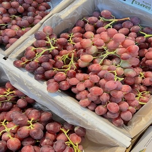 Oferta Exclusiva de Uvas Frescas, Dulces y Jugosas, Fruta Natural al por Mayor para Compradores Globales, Exportadores y Supermercados - Product Image 3