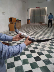 Corne à boire Viking avec support Best-seller chope à bière médiévale de l'artisanat en gros cornes de Viking - Product Image 6