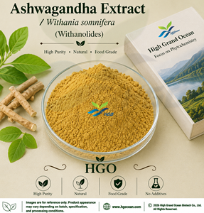 Suministro directo de fábrica de HGO EXTRACTO DE Ashwagandha/Withania somnifera (grado alimenticio) Withanolides 8% (extracto estandarizado) - Product Image 1