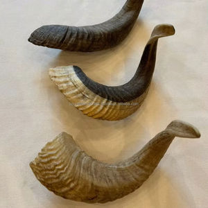 เขาแกะธรรมชาติสำหรับเป่าและใช้ในพิธีกรรม โคเชอร์ โชฟาร์  อาเกตขัดเงาจากอินเดีย - Product Image 1