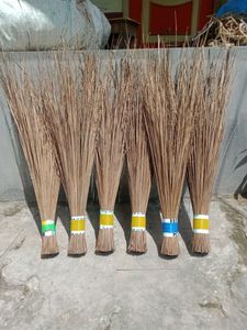 Palitos de Coco Secos 100% Naturales |   Material Ecológico para la Fabricación de Escobas al por Mayor en Vietnam - Product Image 1