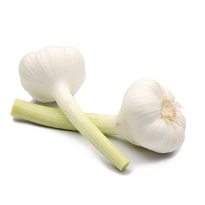 Ajo Blanco Fresco de Alta Calidad en Empaque de Malla con Bulbos Limpios y Clasificados para la Demanda de Importadores y Compradores - Product Image 3