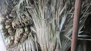 Suministros para la elaboración de tapetes de hojas de palma: Fibras naturales para tejer, nervaduras de palma para la fabricación de tapetes, materia prima de palma, materiales artesanales de hojas de palma. - Product Image 4