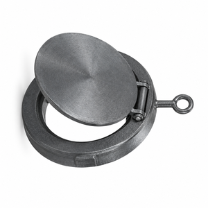 Vanne de retenue compacte à joint torique en fonte SG de 2 pouces de haute qualité PN16 en fonte ductile - Product Image 2