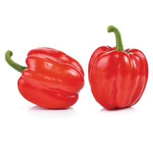 Pimiento rojo fresco al por mayor, suministro a granel, pimiento dulce de primera calidad para servicios de alimentos y compradores de exportación - Product Image 1