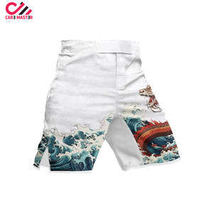 Shorts de boxe MMA pour hommes Fairtex, très demandés, impression personnalisée sur le devant, coupe ajustée, respirants, confortables, tissu polyester et élasthanne, adulte - Product Image 2
