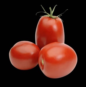 <span class=keywords><strong>Semi</strong></span> di Pomodoro Ciliegino Biologico F1, Pronti per la Raccolta, Rotondi e Rossi, Confezione da 25kg - Product Image 5