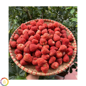 สตรอว์เบอร์รีอบแห้งทั้งลูก ขนมผลไม้ธรรมชาติ สำหรับช็อกโกแลต เบเกอรี่ ซีเรียล ของหวาน ท็อปปิ้ง ผลิตในเวียดนาม จำหน่ายส่งออกจำนวนมาก - Product Image 3