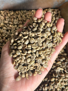 Granos de Café Robusta de las Tierras Altas Centrales de Vietnam, Proceso Natural, Granos de Café Tostados, Suministro al por Mayor - Product Image 1
