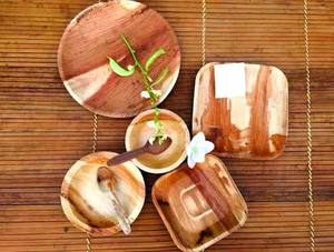 Square Palm Leaf <b>Disposable</b> <b>Plates</b> Modern Eco-Friendly Takeaway Dishware Biodegradable Compostable Dishwasher Safe Freezer Safe - Product Image 4